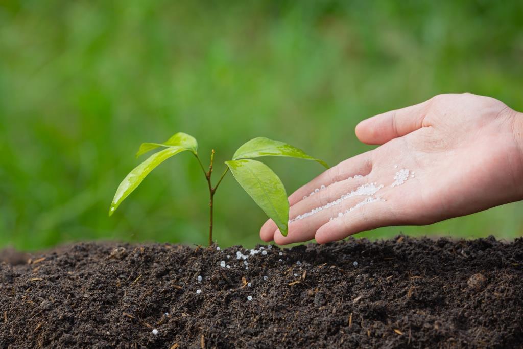 Fertilizers